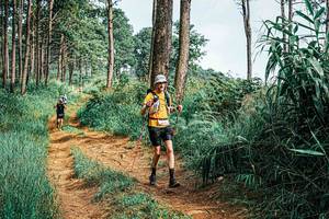 BIB: 
                            <button type="button" onclick="openModal(25659590)" class="btn btn-primary btn-sm float-right btn-popup" data-toggle="modal" data-target=".modal-high-quality">
                        <i class="fas fa-shopping-cart"></i> Add to Cart
                    </button>
                                            <button type="button" onclick="isThisMe(25659590, true)" class="btn btn-success btn-sm float-right btn-popup btn-isme hidden" data-toggle="tooltip" data-placement="bottom" title="นี่คือรูปของคุณใช่ไหม คลิกที่นี่เพื่อเอาเข้าอัลบั้ม">
                        <i class="fas fa-plus"></i> Add to album
                    </button>
                    <button type="button" onclick="isThisMe(25659590, false)" class="btn btn-warning btn-sm float-right btn-popup btn-isnotme hidden">
                        <i class="fas fa-ban"></i> Remove from album
                    </button>